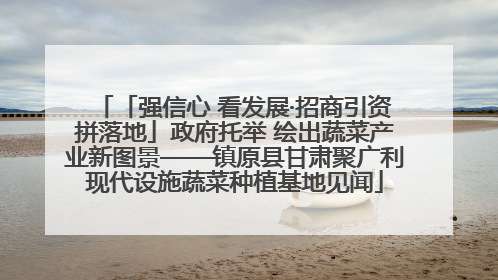「强信心 看发展·招商引资拼落地」政府托举 绘出蔬菜产业新图景——镇原县甘肃聚广利现代设施蔬菜种植基地见闻