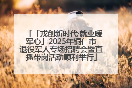 「戎创新时代·就业暖军心」2025年铜仁市退役军人专场招聘会暨直播带岗活动顺利举行
