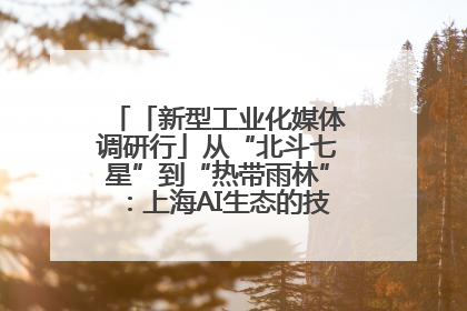 「新型工业化媒体调研行」从“北斗七星”到“热带雨林”：上海AI生态的技术商业共生密码