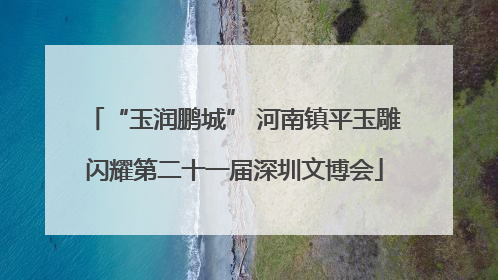 “玉润鹏城” 河南镇平玉雕闪耀第二十一届深圳文博会