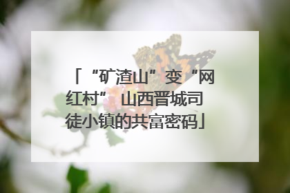 “矿渣山”变“网红村” 山西晋城司徒小镇的共富密码