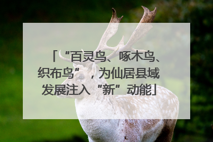 “百灵鸟、啄木鸟、织布鸟”，为仙居县域发展注入“新”动能