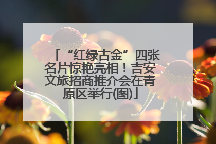 “红绿古金”四张名片惊艳亮相！吉安文旅招商推介会在青原区举行(图)