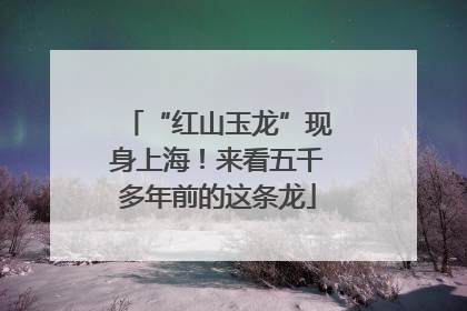 “红山玉龙”现身上海！来看五千多年前的这条龙