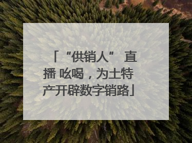 “供销人” 直播 吆喝，为土特产开辟数字销路