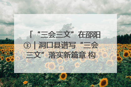 “三会三文”在邵阳③｜洞口县谱写“三会三文”落实新篇章 构建协同联动大格局