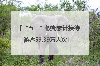 “五一”假期累计接待游客59.39万人次