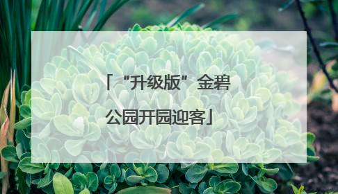 “升级版”金碧公园开园迎客