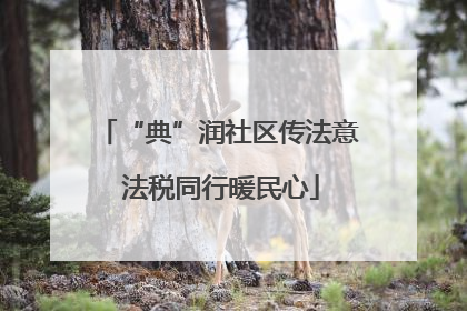 “典”润社区传法意 法税同行暖民心