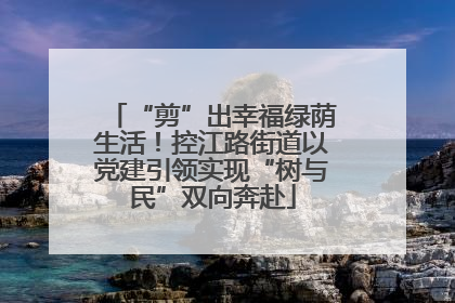 “剪”出幸福绿荫生活！控江路街道以党建引领实现“树与民”双向奔赴