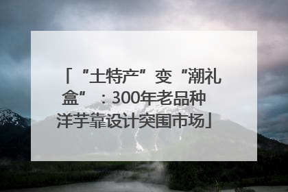 “土特产”变“潮礼盒”：300年老品种洋芋靠设计突围市场