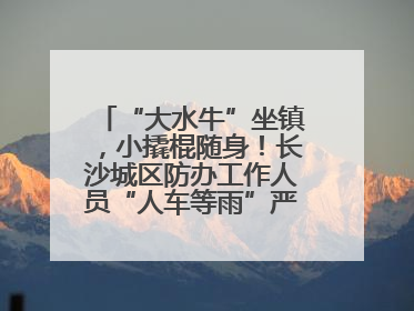 “大水牛”坐镇，小撬棍随身！长沙城区防办工作人员“人车等雨”严阵以待