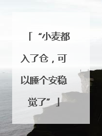 “小麦都入了仓，可以睡个安稳觉了”