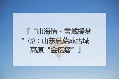 “山海情・雪域援梦”⑤：山东蘑菇成雪域高原“金疙瘩”