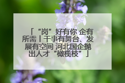 “岗”好有你 企有所需丨干事有舞台、发展有空间 河北国企抛出人才“橄榄枝”