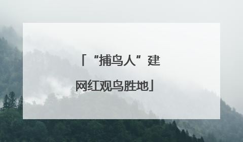 “捕鸟人”建网红观鸟胜地