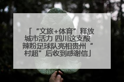 “文旅+体育”释放城市活力 四川这支酸辣粉足球队亮相贵州“村超”后收到感谢信