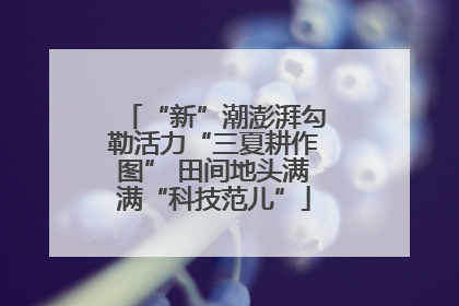 “新”潮澎湃勾勒活力“三夏耕作图” 田间地头满满“科技范儿”