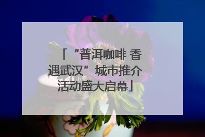 “普洱咖啡 香遇武汉”城市推介活动盛大启幕