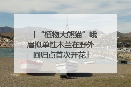 “植物大熊猫”峨眉拟单性木兰在野外回归点首次开花