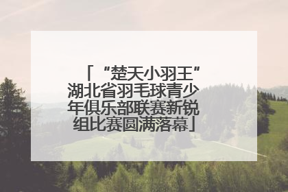 “楚天小羽王”湖北省羽毛球青少年俱乐部联赛新锐组比赛圆满落幕