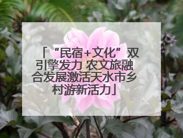 “民宿+文化”双引擎发力 农文旅融合发展激活天水市乡村游新活力