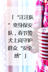 “汪汪队”变身保安队，春节警犬上岗守护群众“安全感”