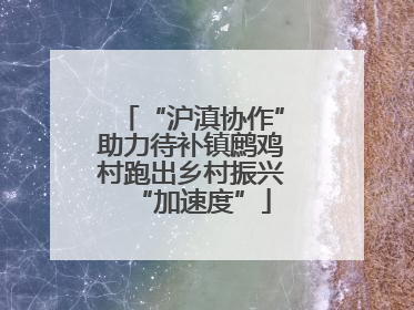 “沪滇协作”助力待补镇鹧鸡村跑出乡村振兴“加速度”
