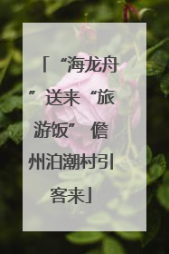 “海龙舟”送来“旅游饭” 儋州泊潮村引客来