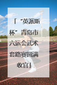 “英派斯杯”青岛市六运会武术套路赛圆满收官