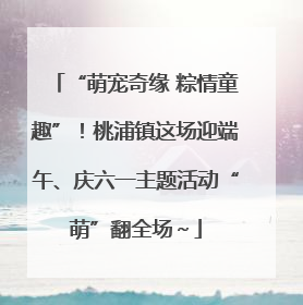 “萌宠奇缘 粽情童趣”！桃浦镇这场迎端午、庆六一主题活动“萌”翻全场～