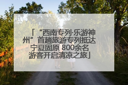 “西南专列·乐游神州”首趟旅游专列抵达宁夏固原 800余名游客开启清凉之旅