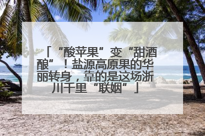 “酸苹果”变“甜酒酿”！盐源高原果的华丽转身，靠的是这场浙川千里“联姻”