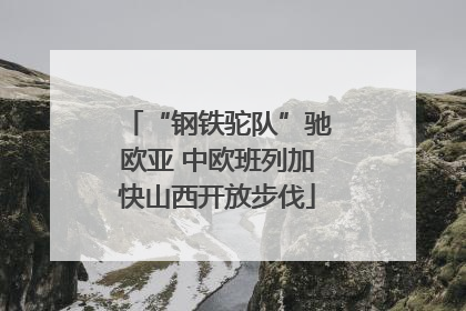 “钢铁驼队”驰欧亚 中欧班列加快山西开放步伐