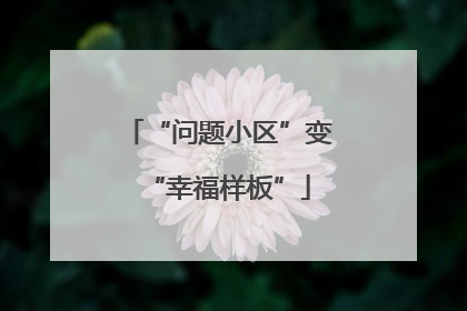 “问题小区”变“幸福样板”