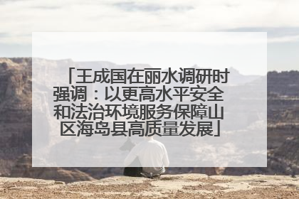 王成国在丽水调研时强调：以更高水平安全和法治环境服务保障山区海岛县高质量发展