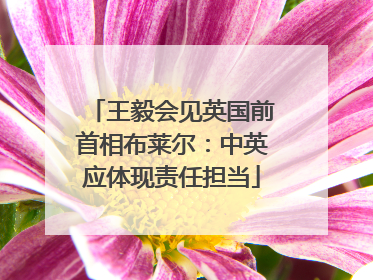 王毅会见英国前首相布莱尔：中英应体现责任担当
