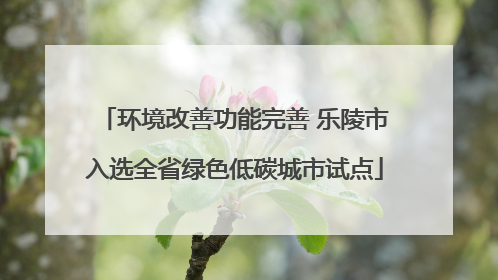 环境改善功能完善 乐陵市入选全省绿色低碳城市试点