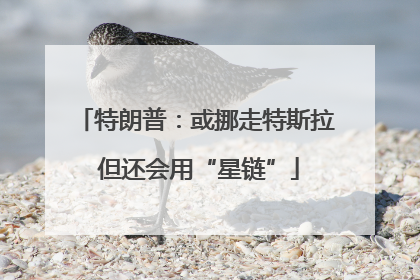 特朗普：或挪走特斯拉 但还会用“星链”