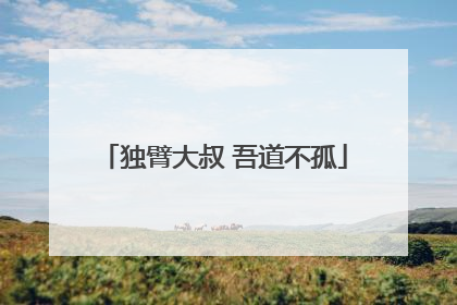 独臂大叔 吾道不孤
