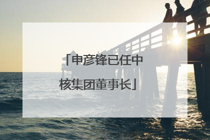 申彦锋已任中核集团董事长