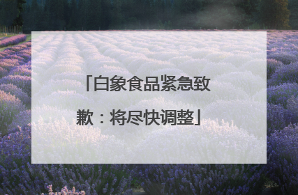 白象食品紧急致歉：将尽快调整