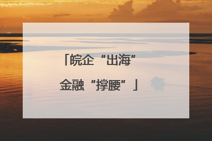 皖企“出海” 金融“撑腰”