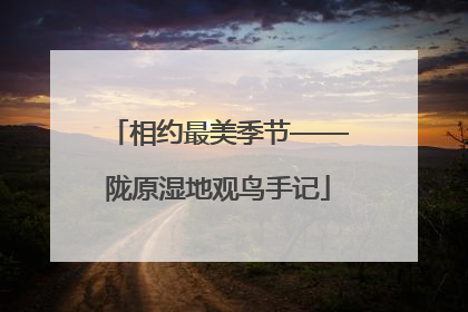 相约最美季节——陇原湿地观鸟手记