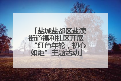 盐城盐都区盐渎街道福利社区开展“红色年轮，初心如炬”主题活动