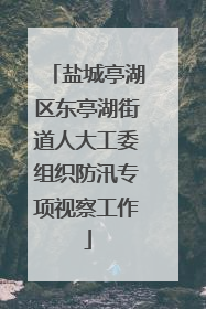 盐城亭湖区东亭湖街道人大工委组织防汛专项视察工作