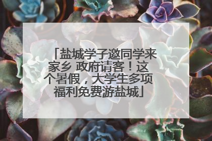 盐城学子邀同学来家乡 政府请客！这个暑假，大学生多项福利免费游盐城