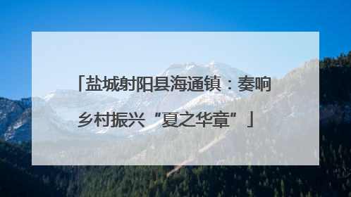 盐城射阳县海通镇：奏响乡村振兴“夏之华章”