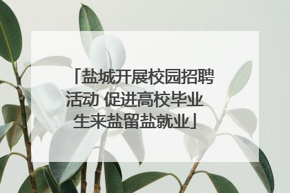 盐城开展校园招聘活动 促进高校毕业生来盐留盐就业