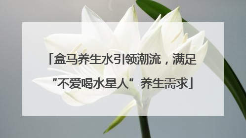 盒马养生水引领潮流，满足“不爱喝水星人”养生需求